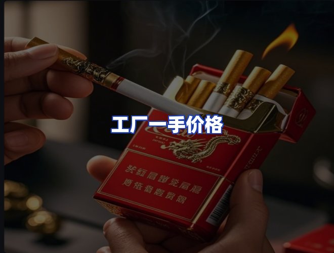 专业团队